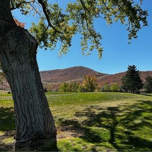 Meet your Posher, Teal